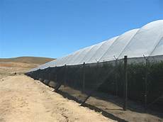 Camo Netting Shade Structure