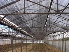Camo Netting Shade Structure