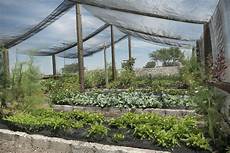 Green Garden Shade Cloth