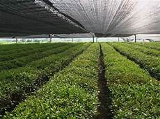Plastic Shade Cloth
