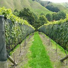 Polytunnel Shade Cloth