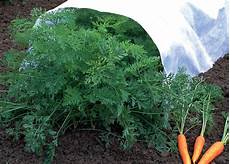 Shade Cloth Fabric