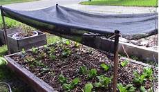 Shade Cloth Over Plants