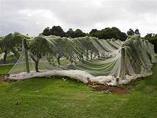 Shade Cloth Temperature Reduction