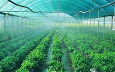Shade Cloth Temperature Reduction