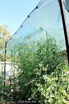 Shade Cloth Temperature Reduction