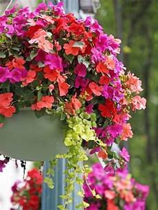 Small Garden Shade Cloth
