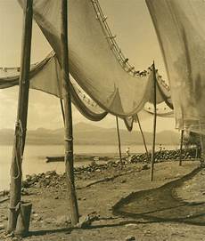 Sun Nets