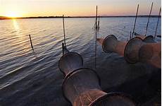 Sun Nets