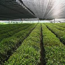 Sun Netting Protection