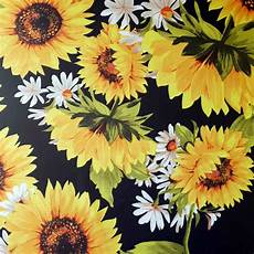 Tafetta Curtain Fabric