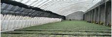 Uv Shade Net